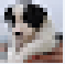 ba0f1e6a4b1f772566bc7c4c6dd71e0a.jpg