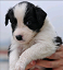 d8a34fb0e75b1d30ba0db247db64f42c.png